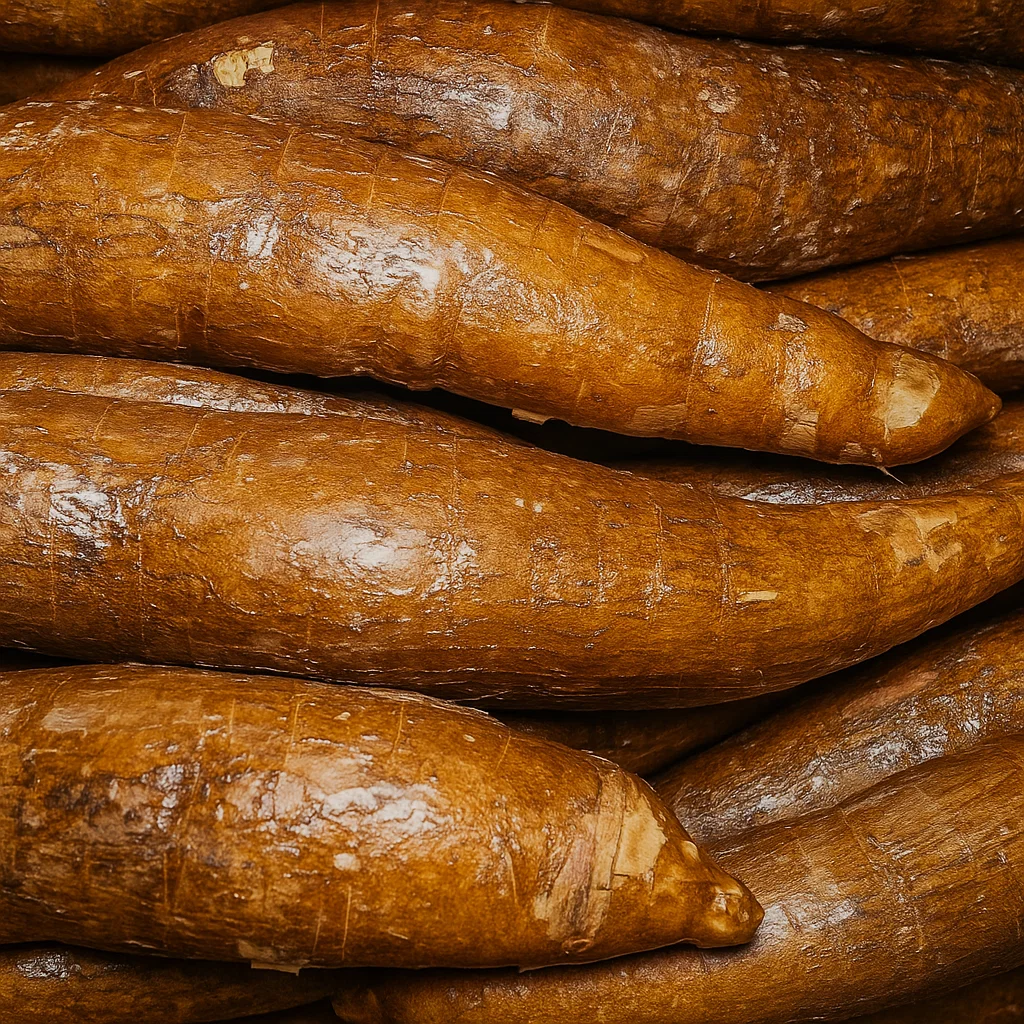 Cassava