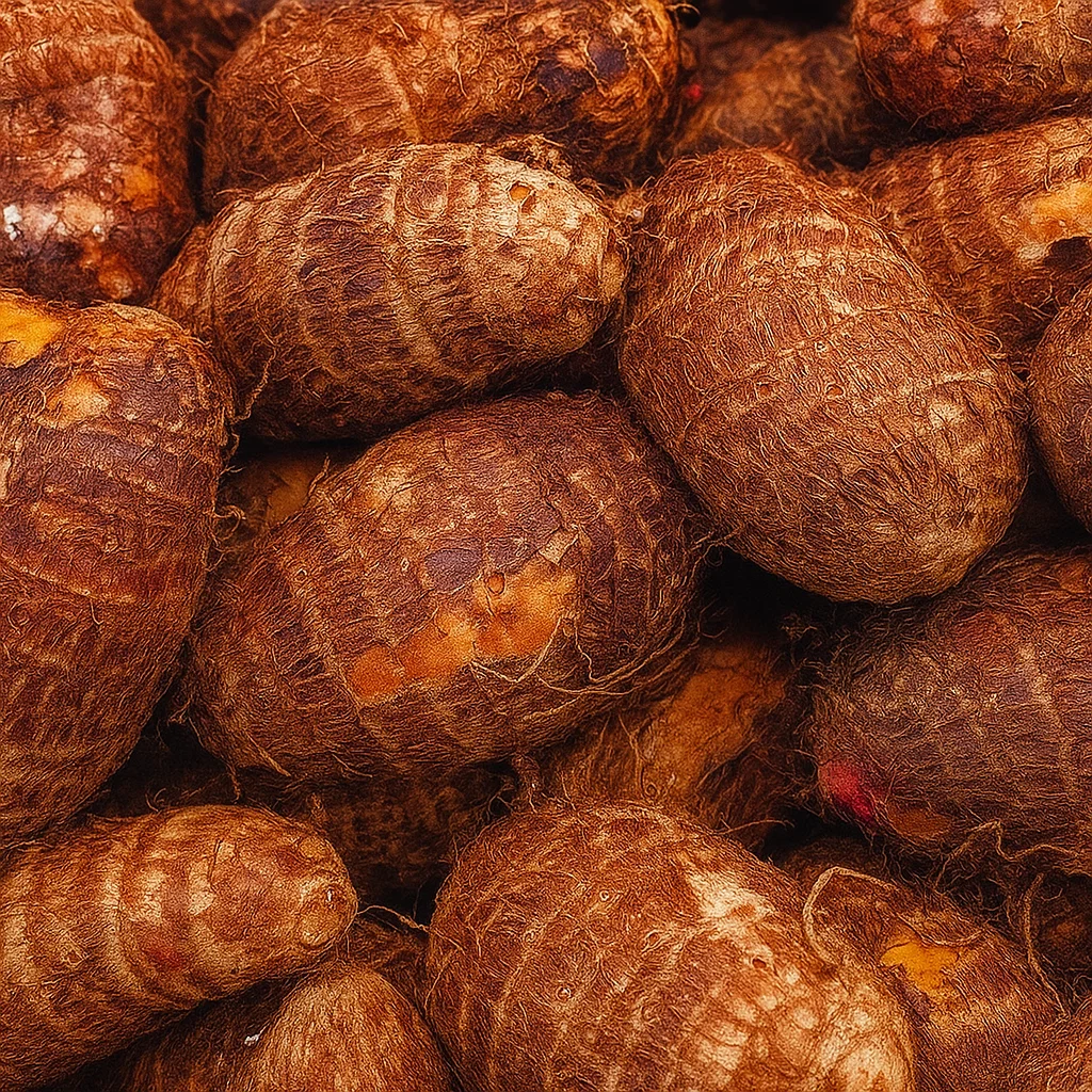 Malanga